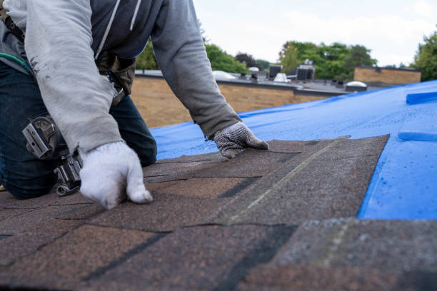 Best Storm Damage Roof Repair  in Woodward, IA