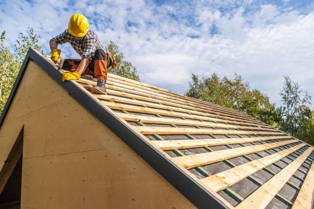Best Roof Waterproofing Services  in Woodward, IA